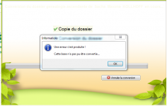 Capture.Généatique conversion bis.PNG