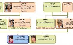 mode1-conjoint1.jpg