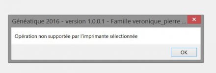Incident lancement et après choix du fichier à ouvrir 181015.JPG