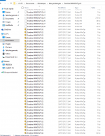Vue Partielle du dossier gw2.png