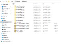 Dossier Geneatique.png