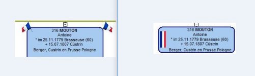 drapeau.JPG