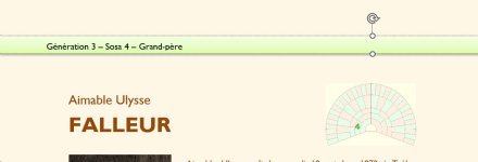 fiche_sosa4_ex.jpg