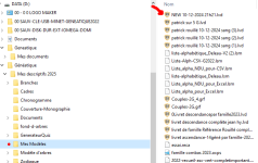 essai2  21h21.PNG
