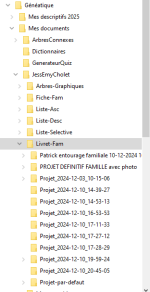 REP-projets.PNG