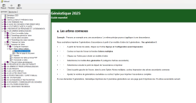 Capture d'écran 2024-12-28 155254.png