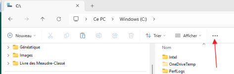 opt.png