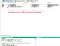 erreur geneatique 2023 sur sosa 12 et 13.jpg