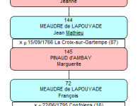 sosa-parenté-3.png