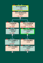 Capture Geneatique 1.PNG