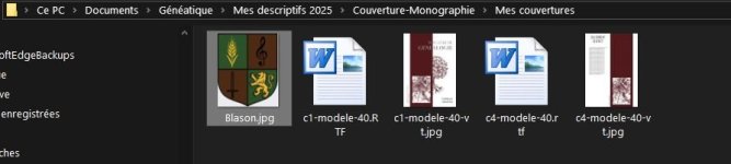 Voilà ou j'en suis.JPG