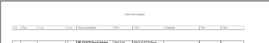 modèle-brut.png