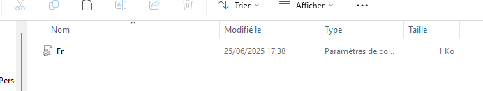 Capture d'écran 2025-07-04 194953.png