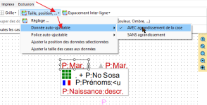 avec-agrandissement.png