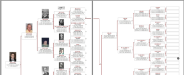 arbre-10g.png