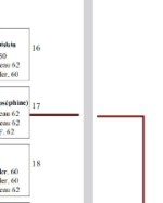 Snag_1a0bcfb7.png