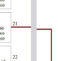 branche21.jpg