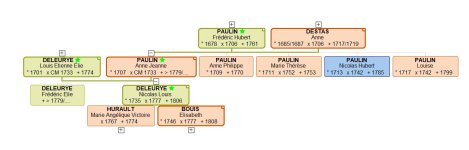 arbre modèle 2_ 2011.JPG