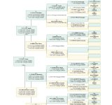 Sosa 8 CAVALLI Leone.jpg