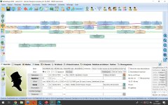 traits d'implexe privilégiant branches masculines .JPG