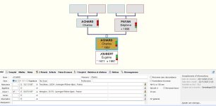 Capture d’écran 1 Mariage Achard-Joubert.JPG