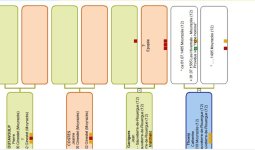 GENEANET_fiche en partie vide.JPG