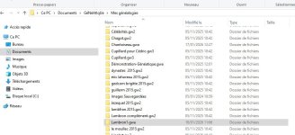 Geneatique anomali pour le forum4.jpg