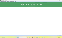 Capture d’écran 2026-01-30 111927.png bolcage de généatique.png