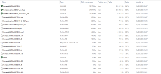 geneatique 2026 sauvergarde.png