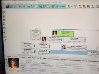 page écran généalogie.jpg