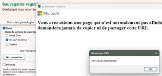Sauvegarde GNTQ OneDrive AMC.jpg