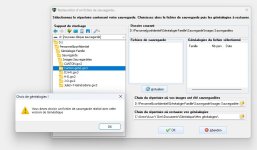 Ecran-récupération.jpg