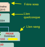 Liens.png