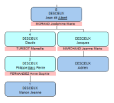 liens-arbre.png