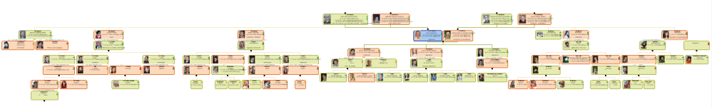 arbre-2.png