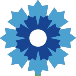 bleuet.png
