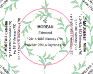 feuilles-vertes.png