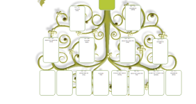 arbre inversé essai .png