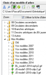 modèle-flg.png