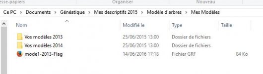 Capture mes modèles.JPG