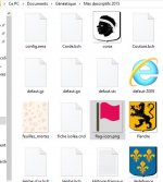 Capture drapeau.JPG