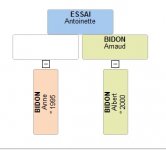 Essai.jpg