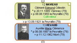 sélectionnée.jpg