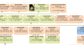 Arbre flou.PNG