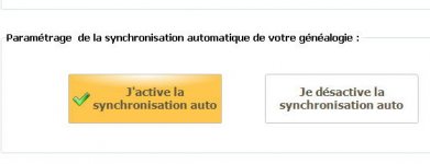coché.jpg