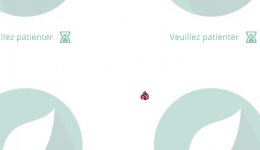 err_mobilite_3.JPG