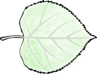 feuille-transparence_Horizon-verte.png