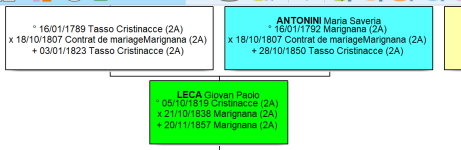 cas de perte de nom geneatique 2.png