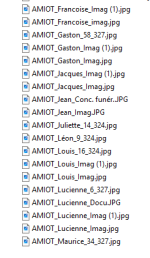 noms donnés par la fonction nommage.png