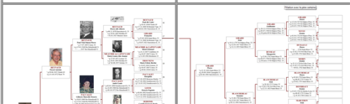 arbre-10g-ext.png arbre-10g-ext.png